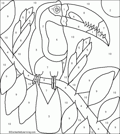 Toucan Color by Number - EnchantedLearning.com | Coloring pages, Toucan  craft, Paint by number