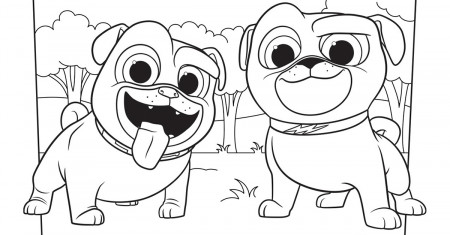 Bingo and Rolly Coloring Page Activity | Disney Family