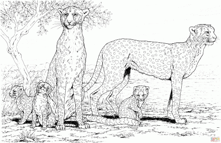 Cheetah family coloring page | Free Printable Coloring Pages
