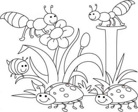 Coloring Pages For Kindergarten Spring - Coloring