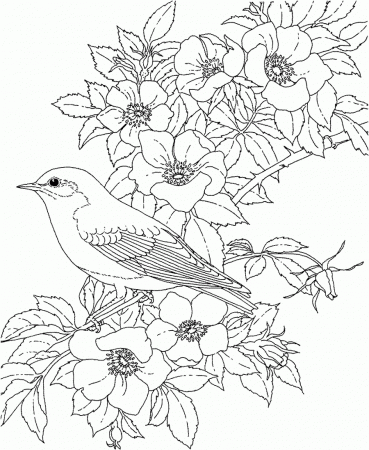 Flower-Coloring-Pages-For-Adults.jpg