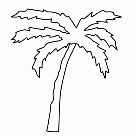 Coloring Page Palm Tree - Coloring Pages for Kids and for Adults