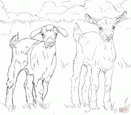 Goats coloring pages | Free Coloring Pages