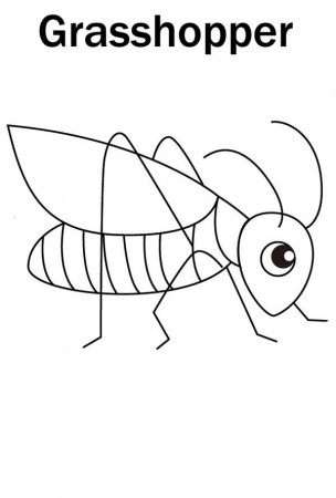 Cute Little Grasshopper Coloring Page - Download & Print Online ...