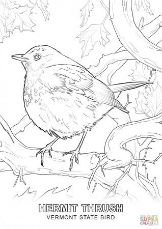 10 Pics of Wisconsin State Bird Coloring Page - Wisconsin State ...