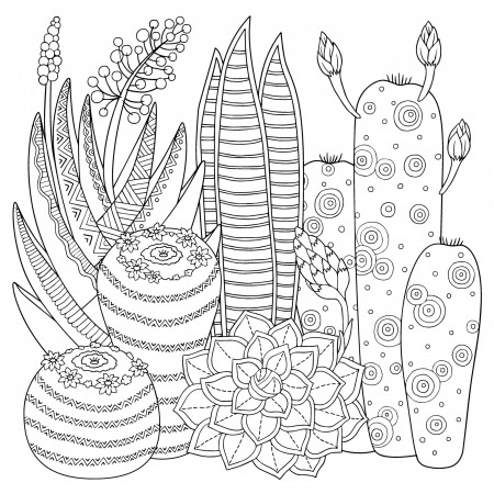 Cactus coloring Vectors & Illustrations for Free Download | Freepik