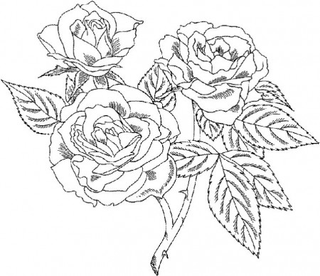 Pin on flowers and butterfly coloring pages