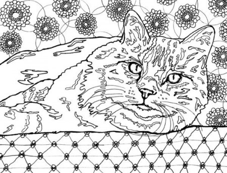 Best Coloring Books for Cat Lovers | Cat coloring book, Coloring books,  Animal coloring books