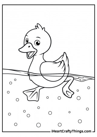 Duck Coloring Pages (Updated 2022)