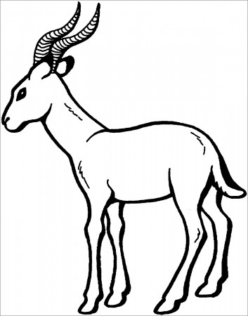 Antelope Coloring Pages - ColoringBay