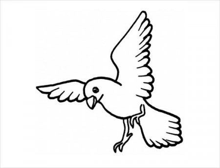 FREE 20+ Bird Coloring Pages in AI