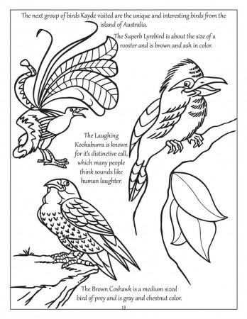 Coloring Books | Personalized Big, Bright Butterflies and Birds Coloring  Book