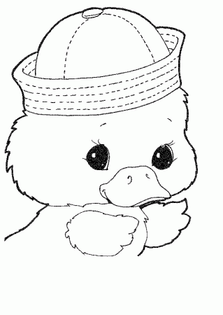 Baby Ducks Coloring Pages Pictures