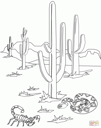 Desert Animals coloring page | Free Printable Coloring Pages