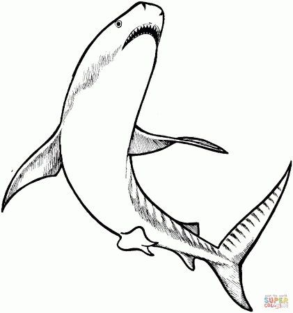 Tiger shark coloring pages | Free Coloring Pages