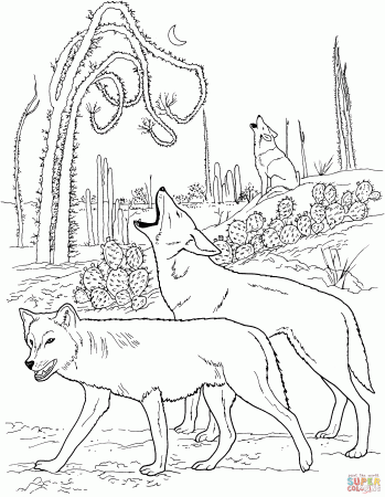 click the coyotes howling in desert coloring pages. peter wolf ...