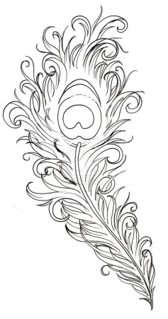free adult coloring pages peacock - Google Search | Adult coloring ...