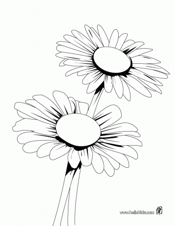 Daisy bunch coloring pages - Hellokids.com