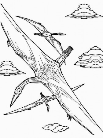 Flying Pteranodon Coloring Page | Coloring Sun