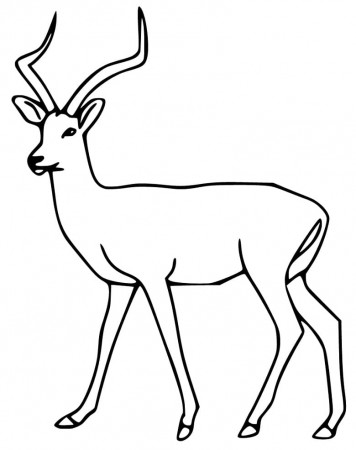 Simple Impala Coloring Page - Free Printable Coloring Pages for Kids
