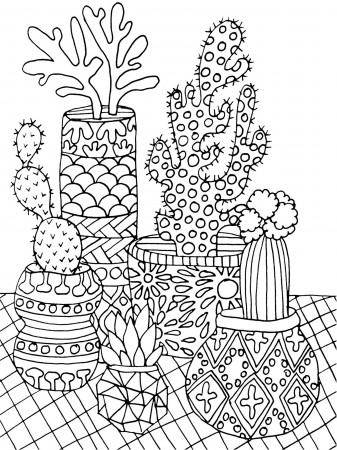 Succulent coloring pages - Free Printable