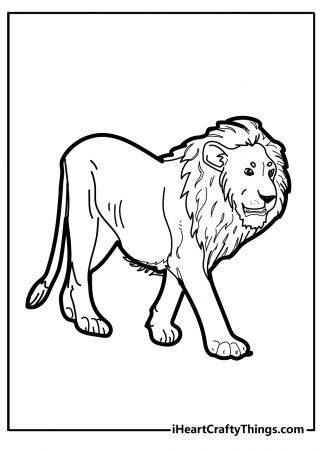 Printable Lion Coloring Pages (Updated 2022)