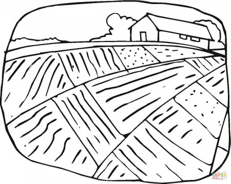 Farmhouse And The Field coloring page | Free Printable Coloring Pages