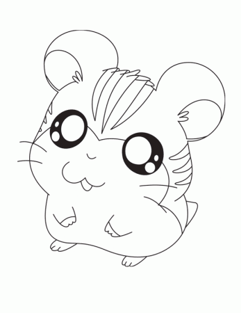 Chinchilla coloring page - Chinchilla free printable coloring pages animals