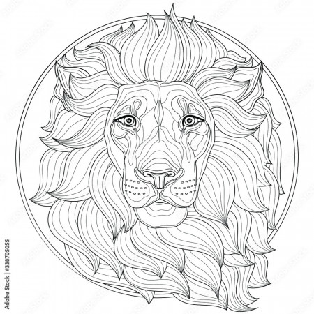 Beautiful lion.Coloring book antistress for children and adults.  Illustration isolated on white background.Zen-tangle style. Black and white  drawing. T-shirt emblem, logo or tattoo with doodle Stock Vector | Adobe  Stock