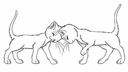 Warrior Cat Coloring Pages Mates