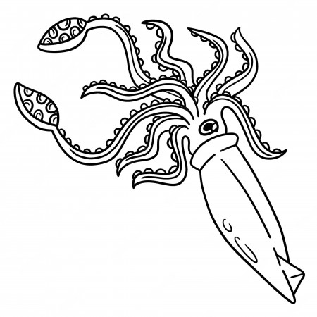 Premium Vector | Giant squid coloring page for kids