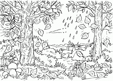 Webkinz Coloring Pages Print - Colorine.net | #16090