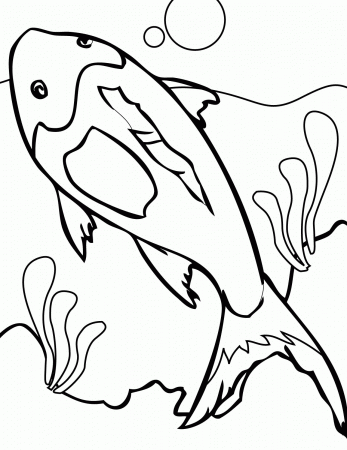 Coral Reefs Coloring Pages - Handipoints