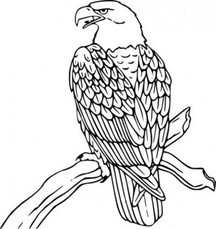 Bird Coloring Page Eagle | Animal Coloring pages of ...