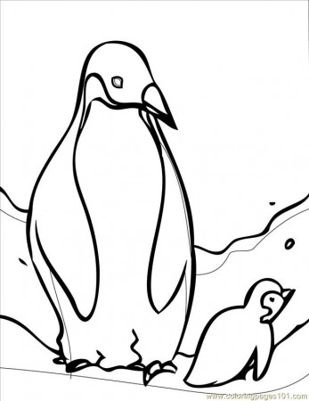 Emperor Penguin Coloring Sheet