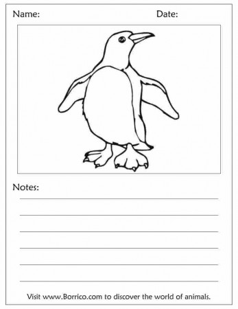 Adelie Penguin Colouring Pages