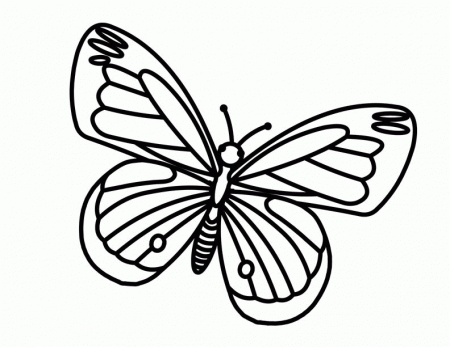 Butterfly - Free Printable Coloring Pages