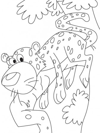 cheetah on tree Colouring Pages