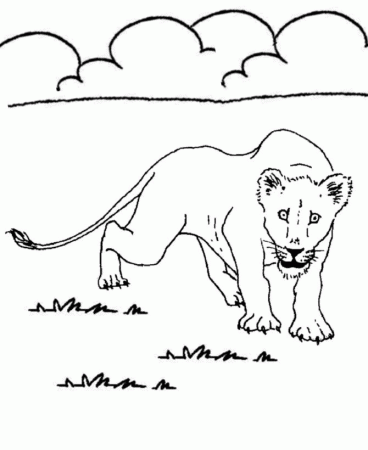 white drawings cartoon coloring pictures of animals