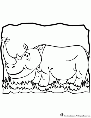 Rhinoceros-