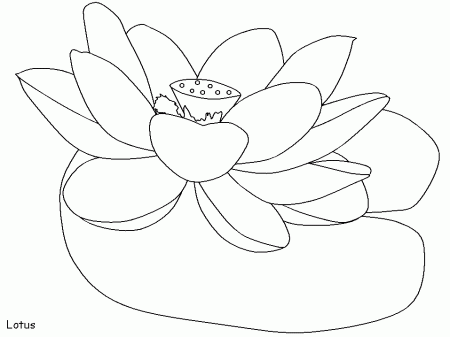 Lotus Flower Coloring Pages For Kids