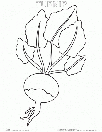 Turnip coloring page | Download Free Turnip coloring page for kids 