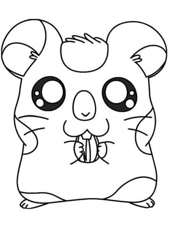 Download Cute Oxnard Hamtaro Coloring Pages Or Print Cute Oxnard 