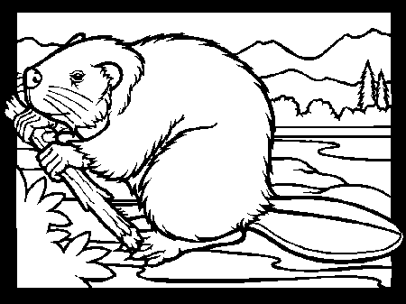 Beaver Coloring Pages To Print - Kids Colouring Pages