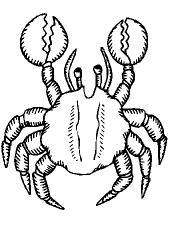 Coloring Page - Crab coloring pages 2