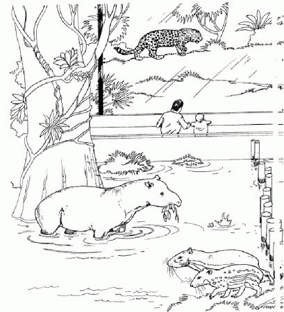 Zoo Animal | Free Printable Coloring Pages – Coloringpagesfun.com 