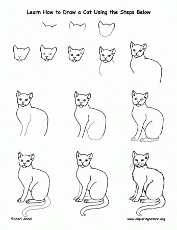 Cat Drawing Lesson -- Exploring Nature Educational Resource