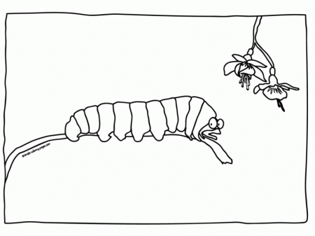 Caterpillar Coloring Pages Animals Hagio Graphic 57753 Very Hungry 