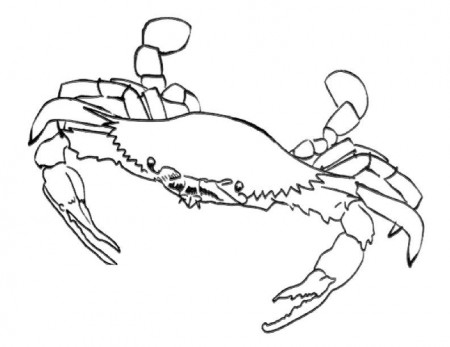 crab coloring pages printable : Printable Coloring Sheet ~ Anbu 