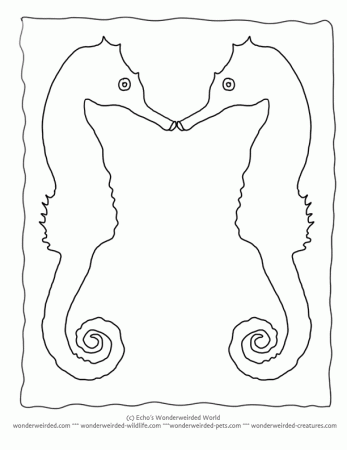 Seahorse Outline, Free Seahorse Coloring Pages & Seahorse Templates